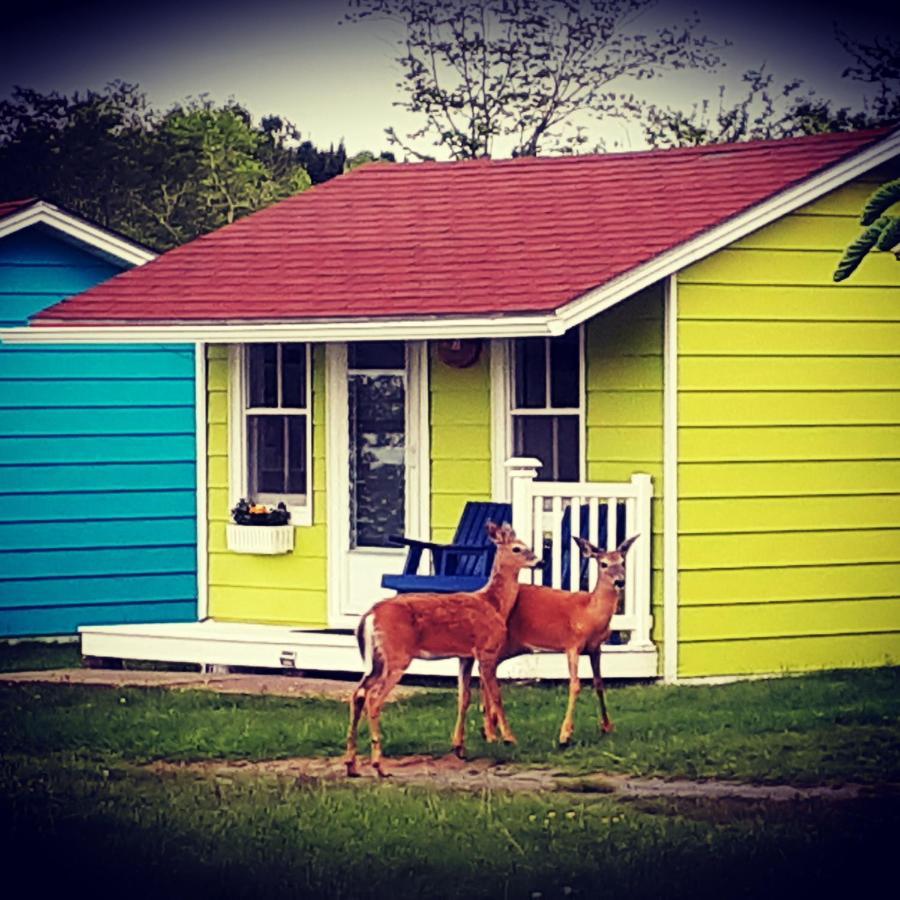 Atlantic View Motel Lunenburg Extérieur photo